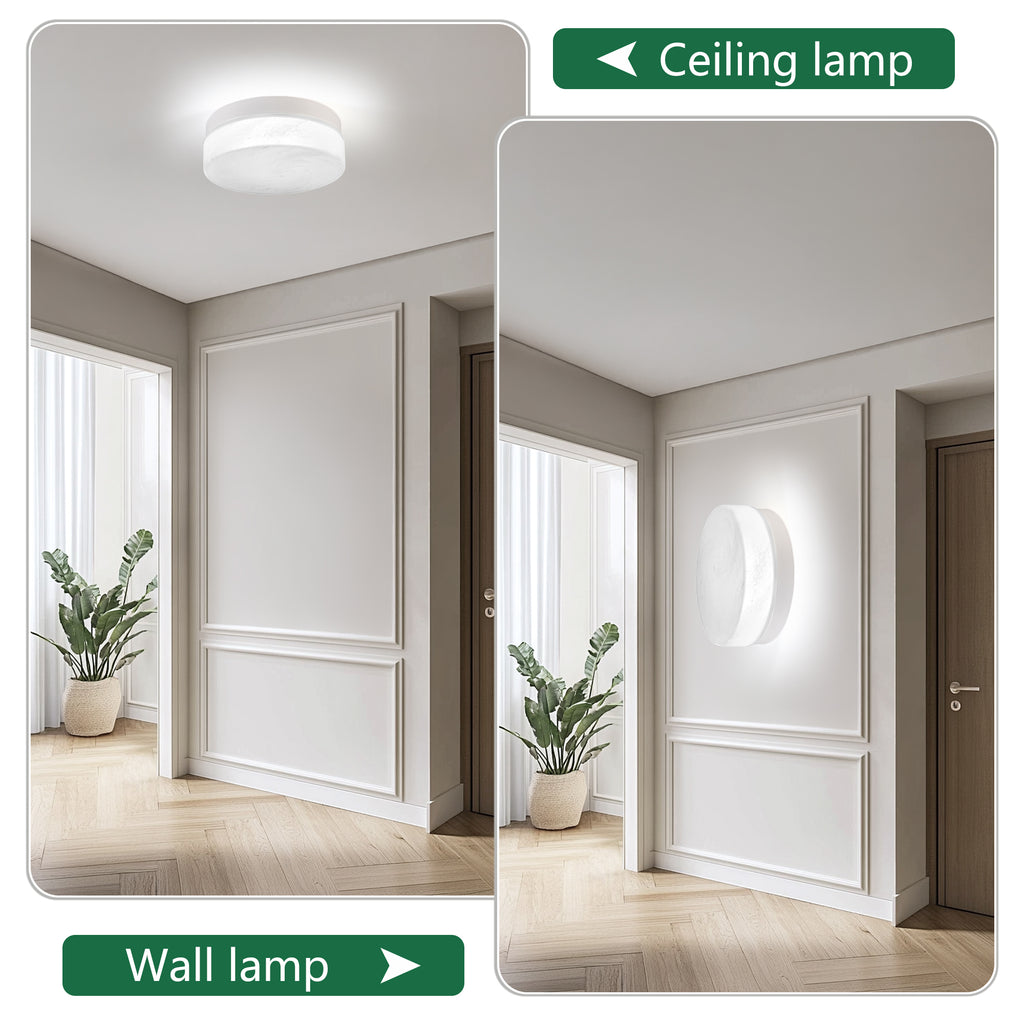 12 Inch LED Ceiling Light