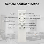 Modern LED Ceiling Light