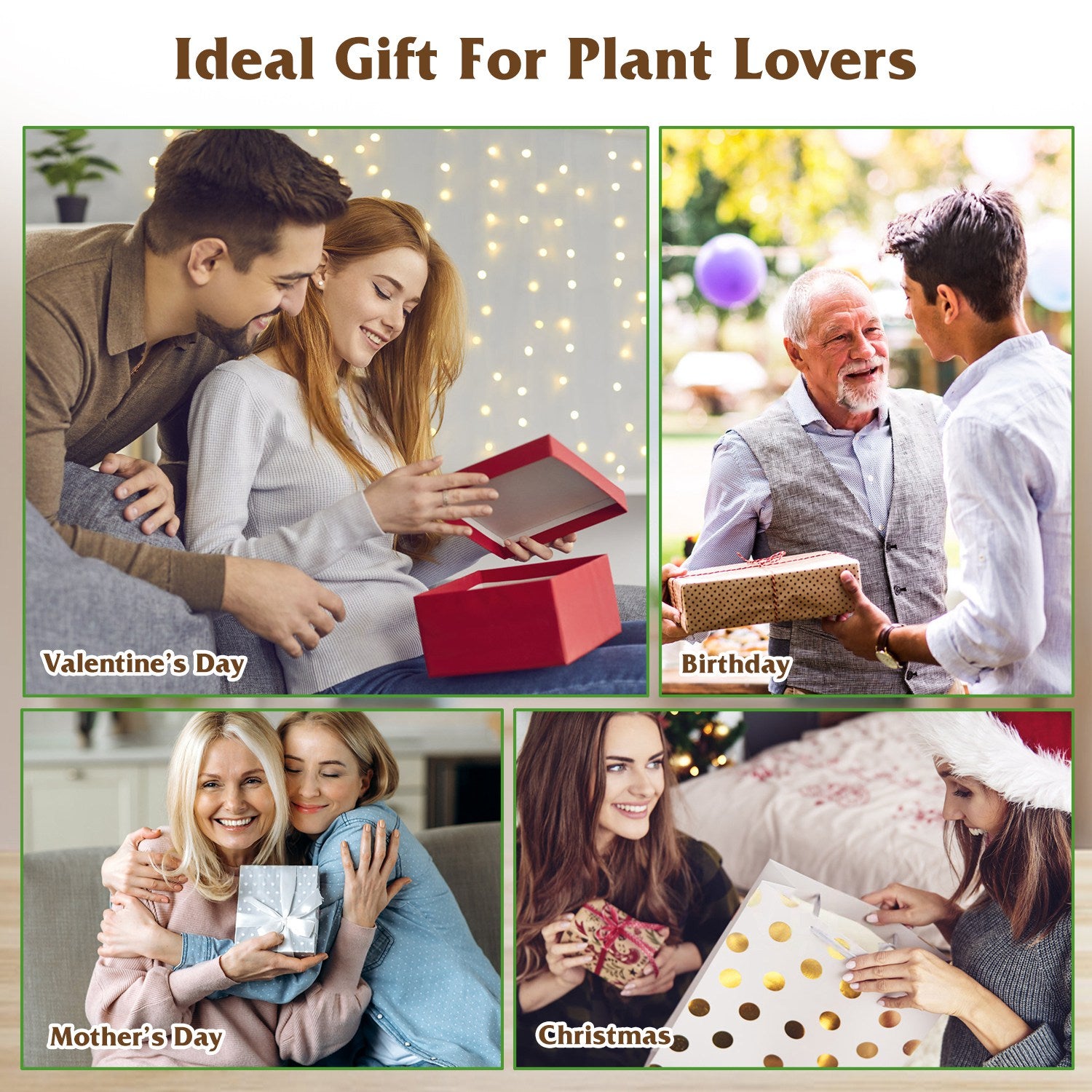 1Pc Plant Terrarium Propagation Station With 3 Heart Shaped Vases Wood