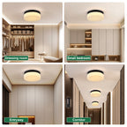 12 Inch LED Ceiling Light