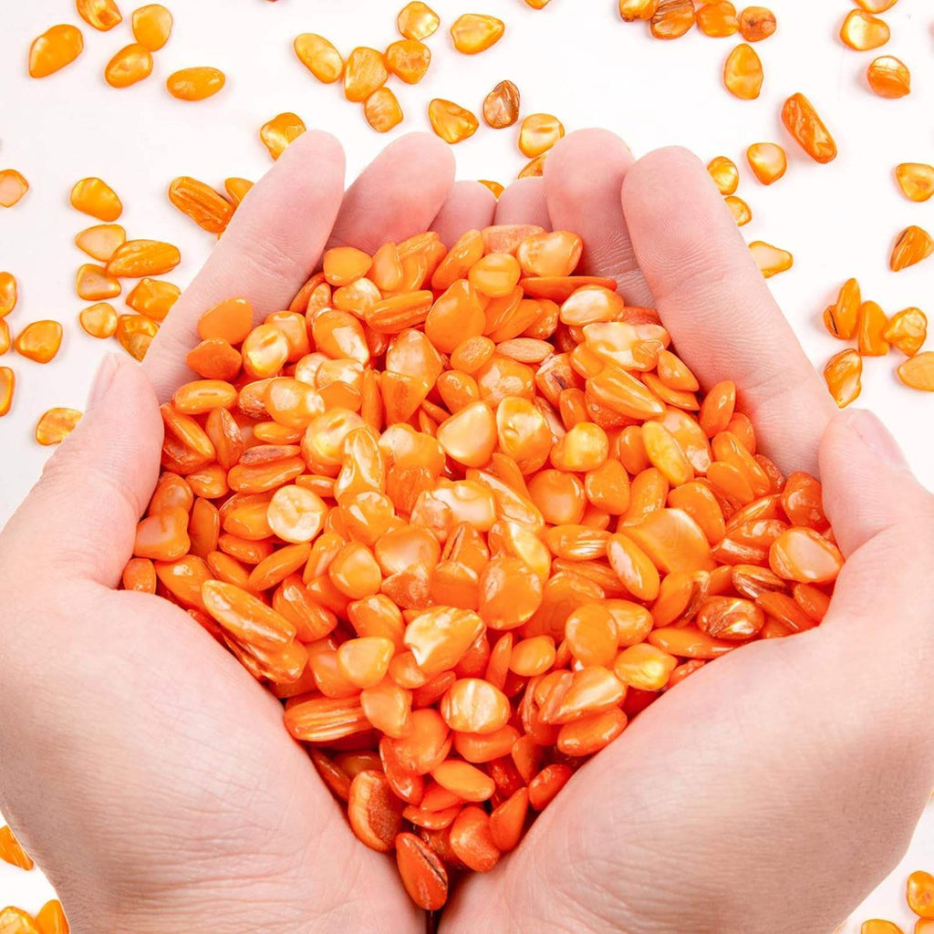 Small Natural Crushed Shells For Crafts About 2LB 900g 31.74oz DIY Bea