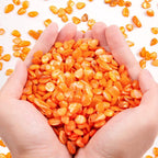 Small Natural Crushed Shells For Crafts About 2LB 900g 31.74oz DIY Bea