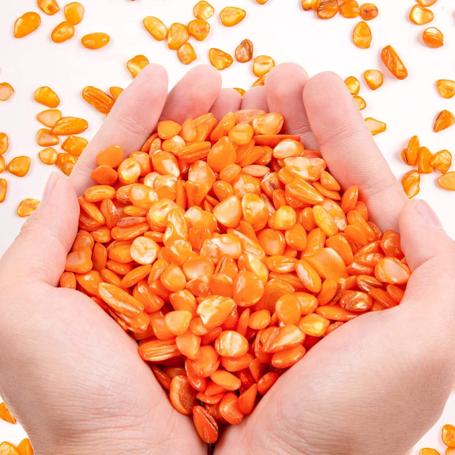Small Natural Crushed Shells For Crafts About 2LB 900g 31.74oz DIY Bea