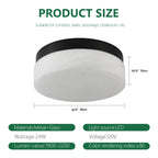 12 Inch LED Ceiling Light