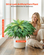 Artificial Ferns