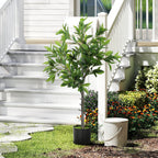 Potted Fake Plant
