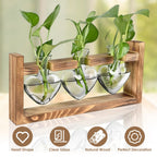 1Pc Plant Terrarium Propagation Station With 3 Heart Shaped Vases Wood