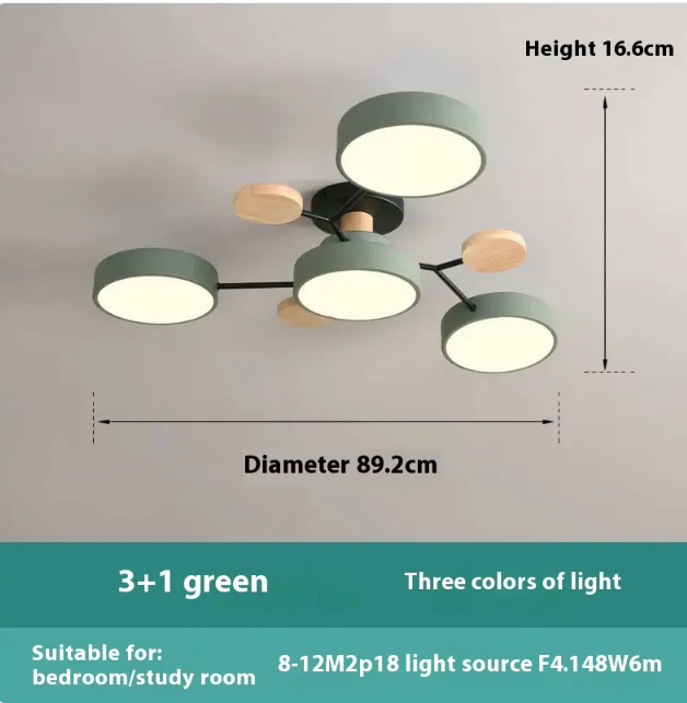 Living Room LED Ceiling Lamp | Modern Design