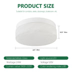 12 Inch LED Ceiling Light