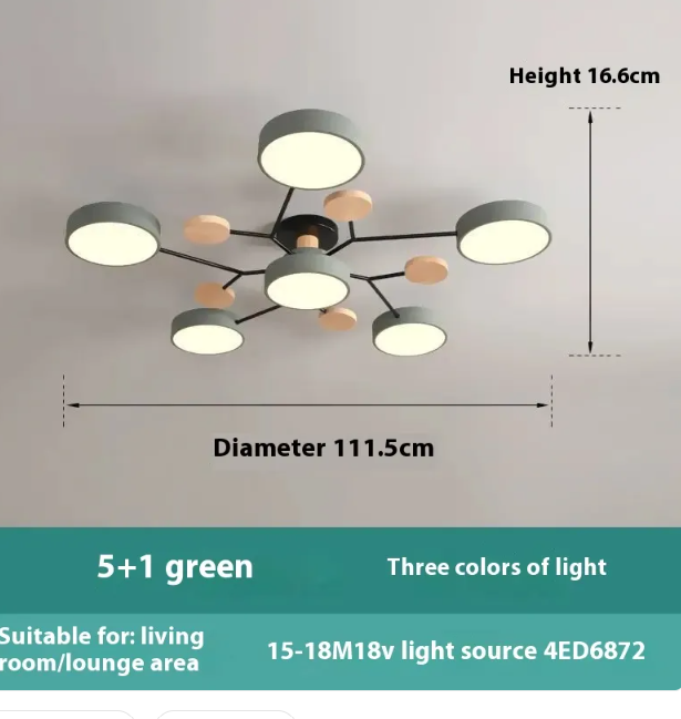 Living Room LED Ceiling Lamp | Modern Design