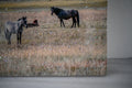 Horse Framed Wall Art Decor Country Western Farmhouse Wood Painting Vi