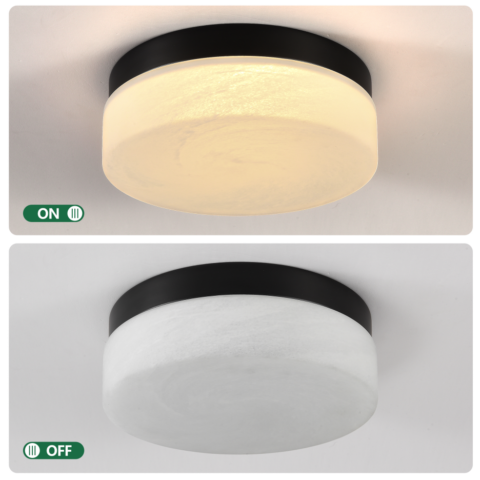 12 Inch LED Ceiling Light