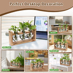 1Pc Plant Terrarium Propagation Station With 3 Heart Shaped Vases Wood