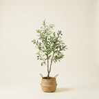 1 Artificial Olive Tree on a warm cream background