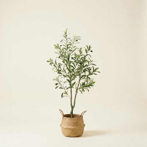 1 Artificial Olive Tree on a warm cream background