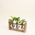 1Pc Plant Terrarium Propagation Station With 3 Heart Shaped Vases Wood on a warm cream background