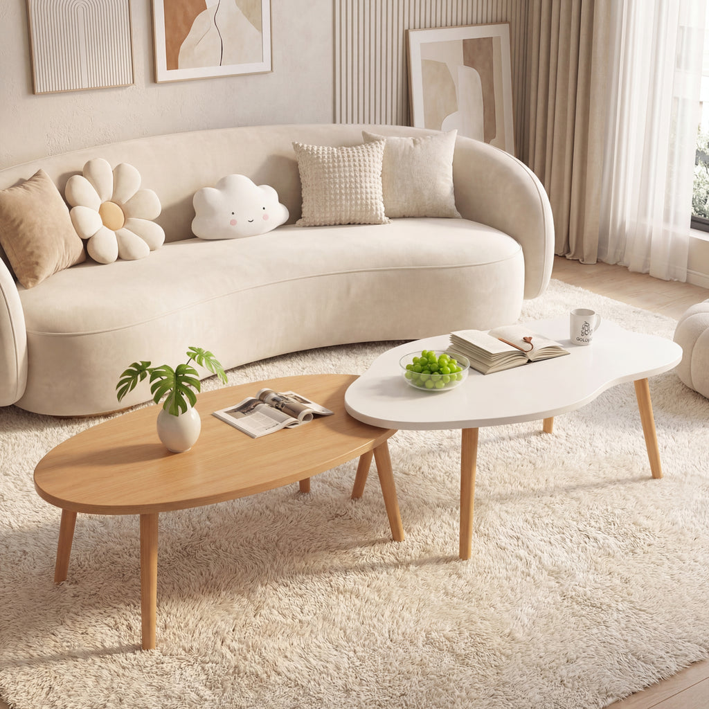 Minimalist Compact Modern Coffee Table | 2-Layer Structure