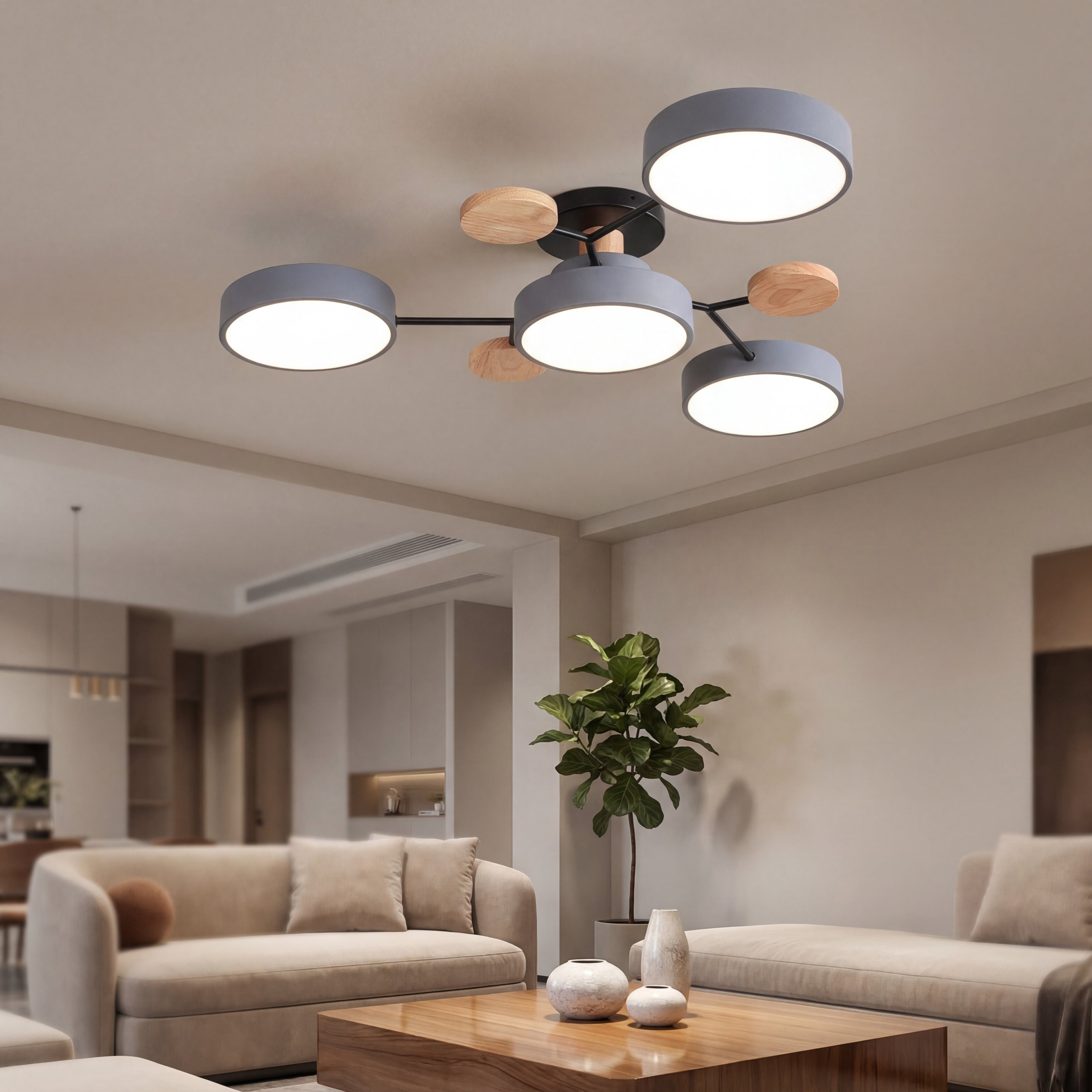 Living Room LED Ceiling Lamp | Modern Design